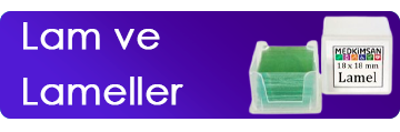 Lam ve Lameller