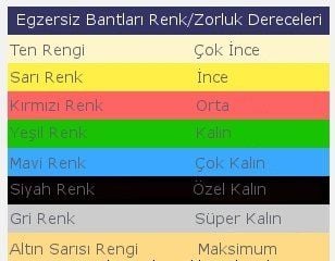 MSD Moves Band Pilates Bandı 45.5mt | Egzersiz Bandı | Mavi/E.Sert