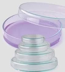 PETRİ KUTUSU  80x15 MM